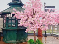 -武汉知音号