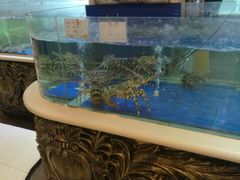 水产区-友鹏海鲜(新宜白大道店)