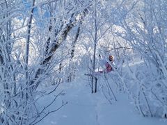 -中旅松花湖滑雪场