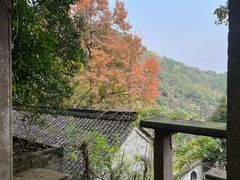 -宁波市保国寺古建筑博物馆