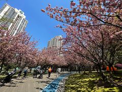 -苏州河梦清园环保主题公园