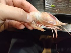 -莲湖糕团店·老秦淮小吃