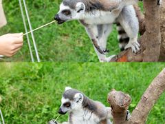 -杭州野生动物世界