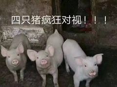 -黄记煌三汁焖锅(渝北金港国际店)