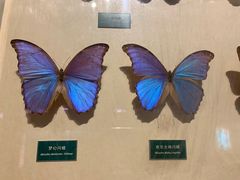 -陕西自然博物馆