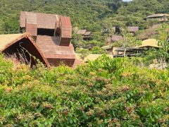 -海南槟榔谷黎苗文化旅游区