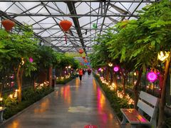 -南宫五洲植物乐园