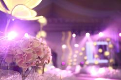 -艾米婚纱&婚礼策划