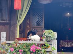 -龙姐私房菜(和顺古镇店)