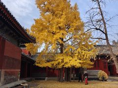 -承恩寺