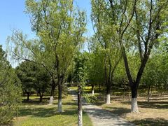 -青龙湖公园