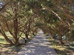 -洛阳古墓博物馆