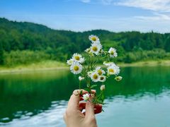 -武陵山森林公园