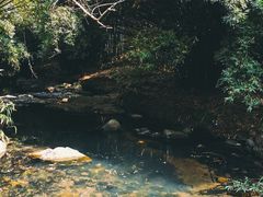 -红山村