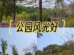 -东莞植物园