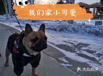 搬家到这里后第一次带我们家小可爱去宠物医院