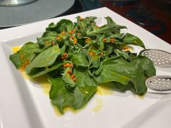 果粒冰草-九十九顶毡房(阜石路店)