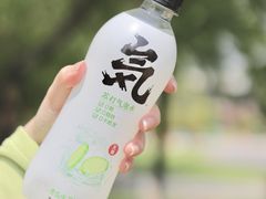 -九里河湿地公园