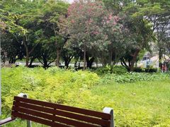 -福田红树林生态公园