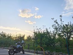 -尚庄度假村·庭台树下·户外烧烤·团建CS·轰趴营地(上庄水库店)