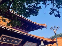 -亭林园-华藏寺