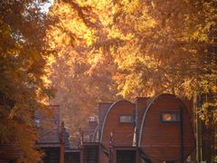 -黄海国家森林公园