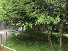 -毛泽东同志旧居