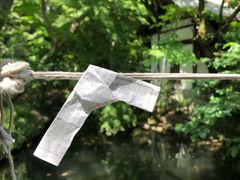 -井之头恩赐公园