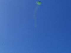 -春花秋色城市公园