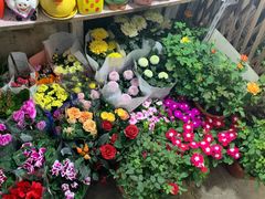 -万商花鸟市场