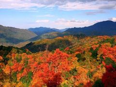 -光雾山旅游景区