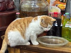 -王魁腊汁肉夹馍(柿园路店)