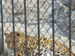 -大连森林动物园