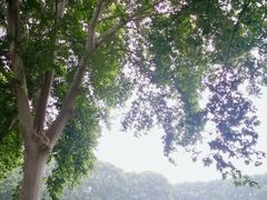 -河南省黄河迎宾馆