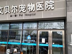 -艾贝尔宠物医院·24H转诊中心·肿瘤猫专科(江宁双龙店)