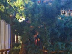 -解家河南菜(金水路店)