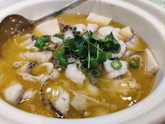 鲜花椒美鱼-蜀腾川·火锅鱼.烤鱼(新世界城店)