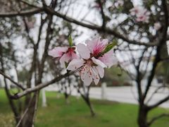 -潜龙渠公园