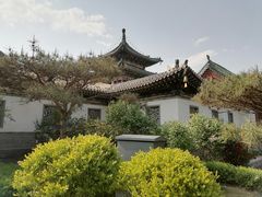 -迎泽公园