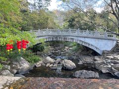 -广州市石门国家森林公园