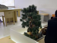 -喜茶(广州保利中环店)