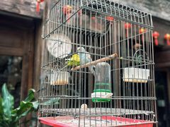 -束河人家(南锣鼓巷店)