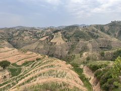 -天下黄河第一湾