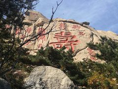 -崂山仰口游览区