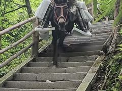 -峨眉山风景名胜区