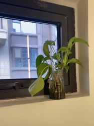 -海涛医疗美容·面部抗衰·注射美鼻