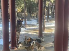 -四门塔风景区