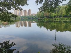 -重庆彩云湖湿地公园
