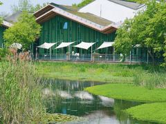 -西湖风景区-江洋畈生态公园