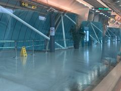 -龙阳路磁悬浮列车总站-停车场